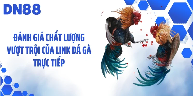 Đánh giá chất lượng vượt trội của link đá gà trực tiếp