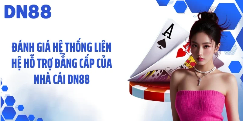 Đánh giá hệ thống liên hệ hỗ trợ đẳng cấp của nhà cái DN88