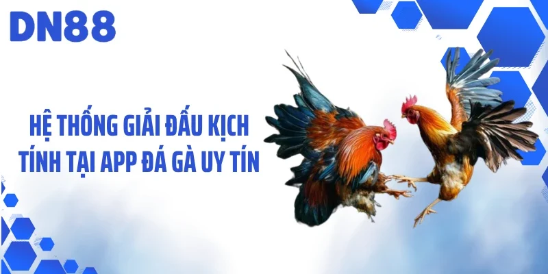 Hệ thống giải đấu kịch tính tại app đá gà uy tín