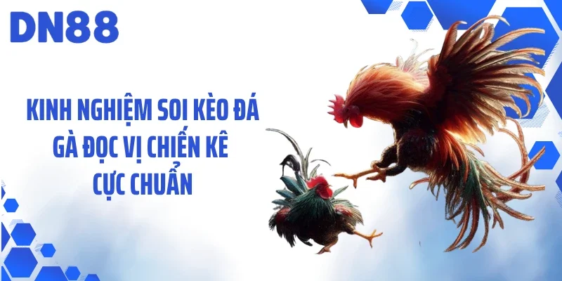Kinh nghiệm soi kèo đá gà đọc vị chiến kê cực chuẩn