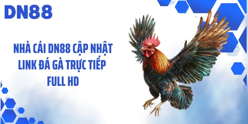 Nhà cái DN88 cập nhật link đá gà trực tiếp full HD
