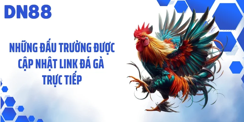 Những đấu trường được cập nhật link đá gà trực tiếp