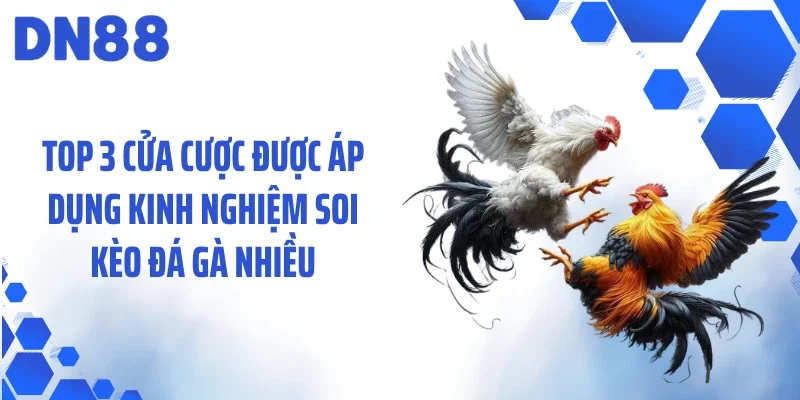 Top 3 cửa cược được áp dụng kinh nghiệm soi kèo đá gà nhiều